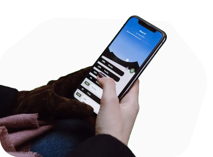 User Focus